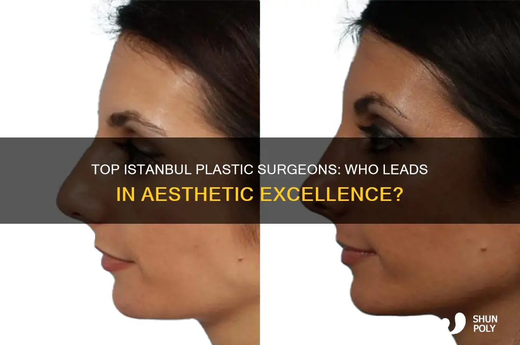 who is the best plastic surgeon in istanbul
