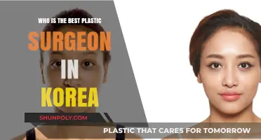 Top Korean Plastic Surgeons: Who Leads in Aesthetic Excellence?