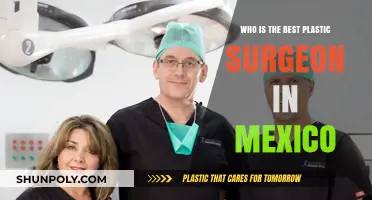 Top Plastic Surgeons in Mexico: Expertise, Reputation, and Patient Reviews