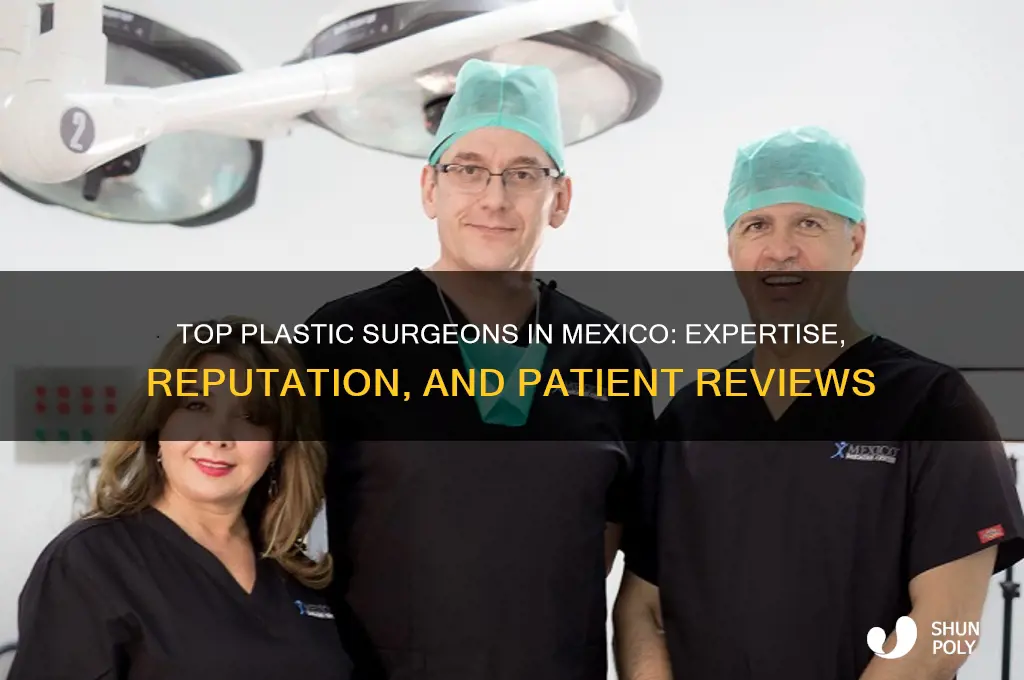 who is the best plastic surgeon in mexico