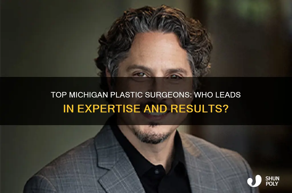 who is the best plastic surgeon in michigan