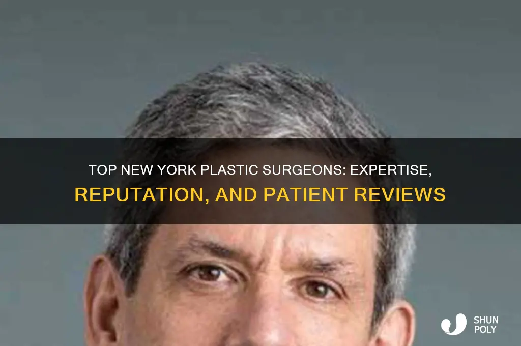 who is the best plastic surgeon in new york