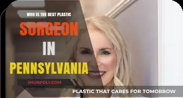 Top Pennsylvania Plastic Surgeons: Who Leads in Expertise and Results?