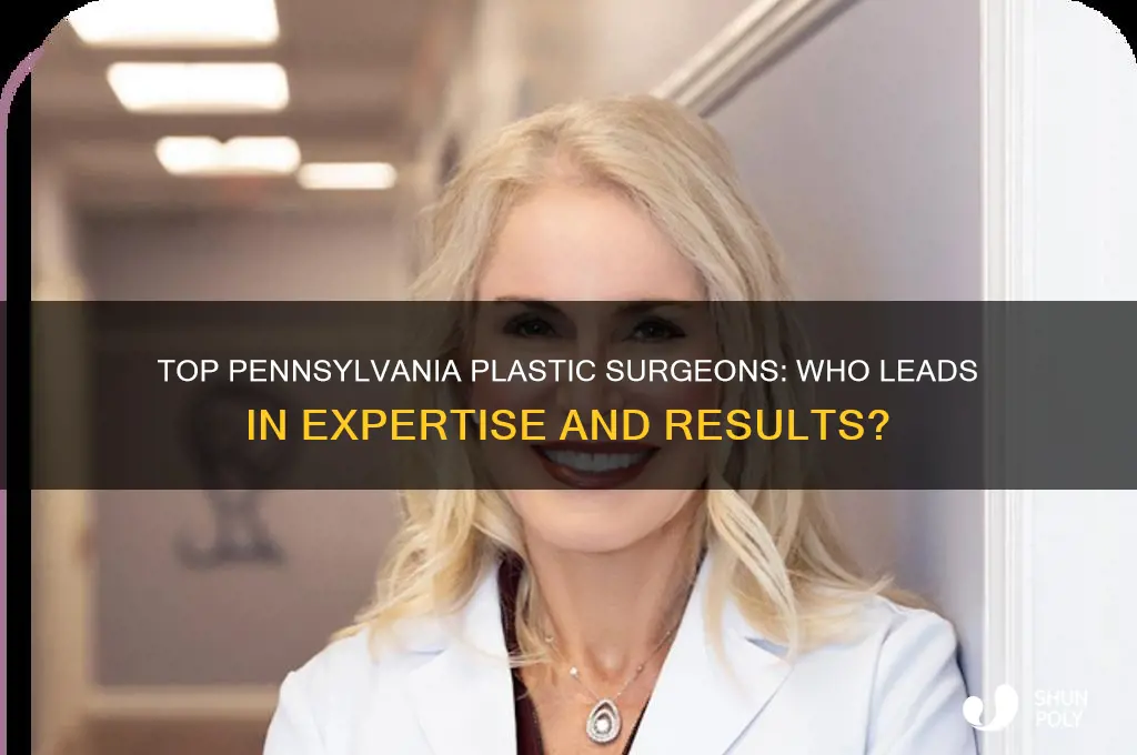 who is the best plastic surgeon in pennsylvania