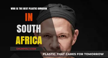 Top Plastic Surgeons in South Africa: Expertise and Excellence Revealed