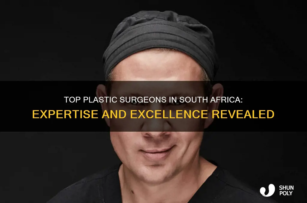 who is the best plastic surgeon in south africa