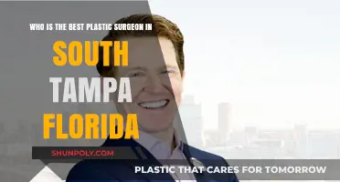 Top Plastic Surgeon in South Tampa: Expertise and Excellence Revealed