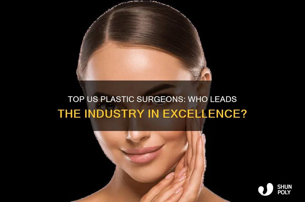 who is the best plastic surgeon in the us