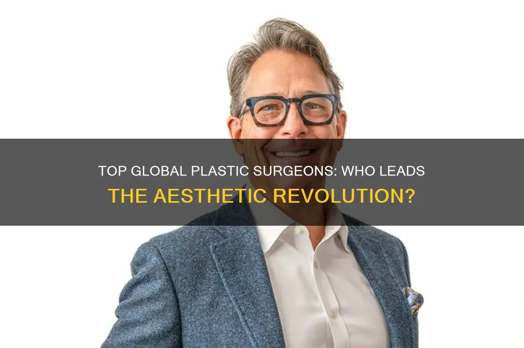 who is the best plastic surgeon in the world