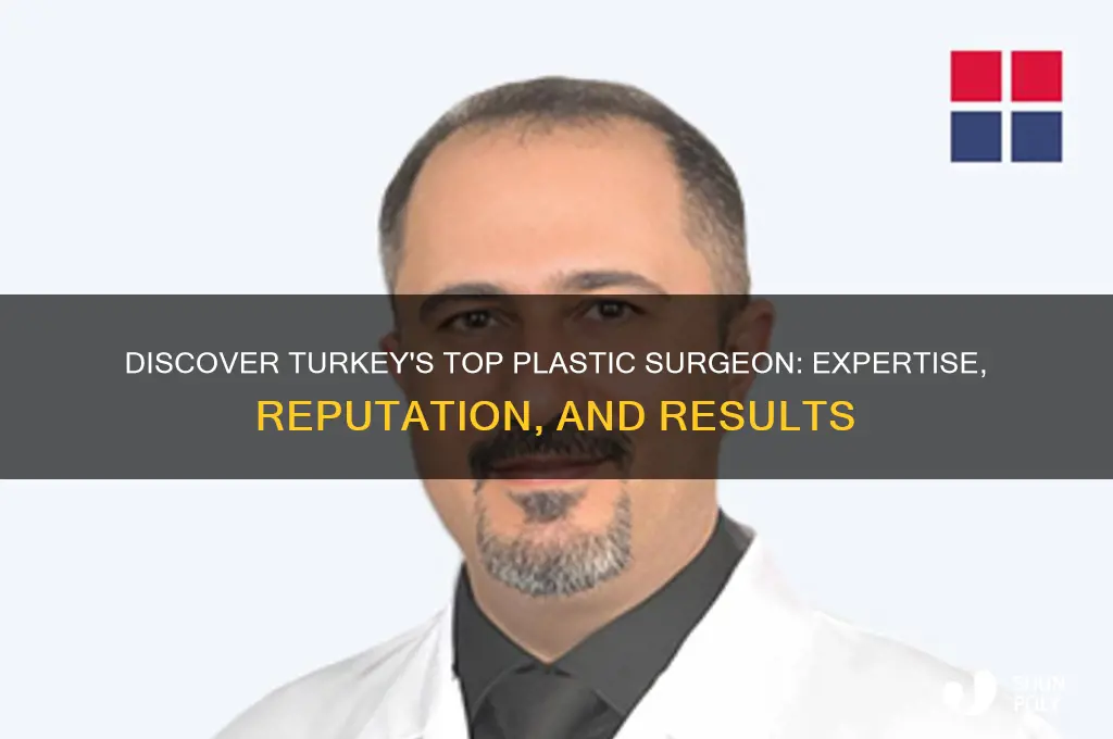 who is the best plastic surgeon in turkey