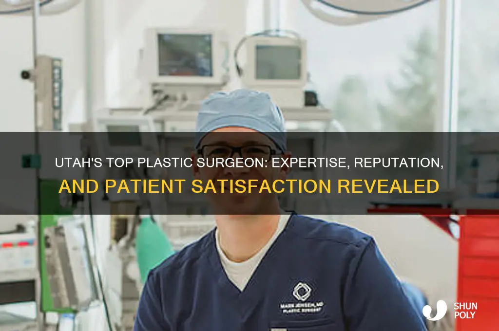 who is the best plastic surgeon in utah