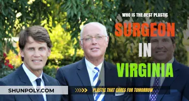 Top Plastic Surgeons in Virginia: Expertise, Reviews, and Patient Satisfaction
