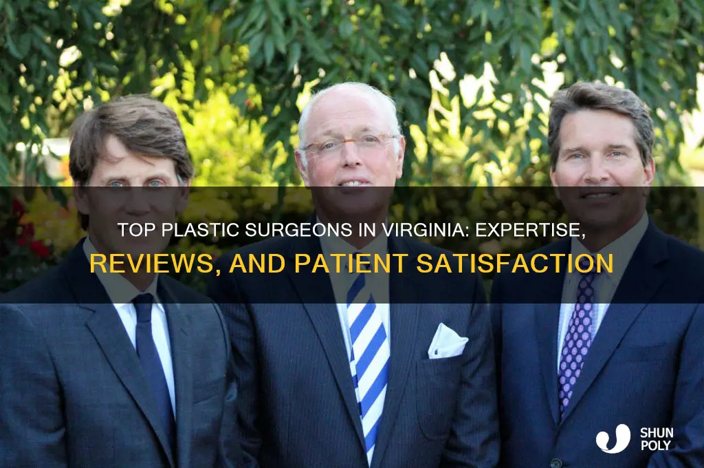 who is the best plastic surgeon in virginia