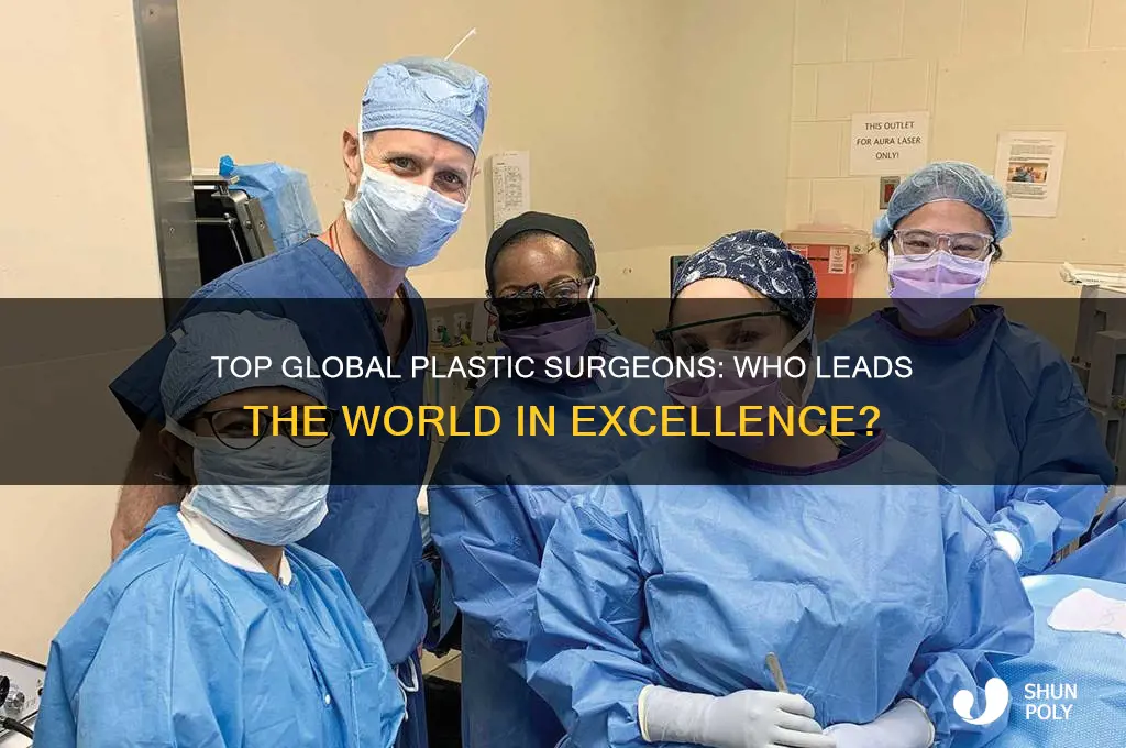 who is the best plastic surgery in the world