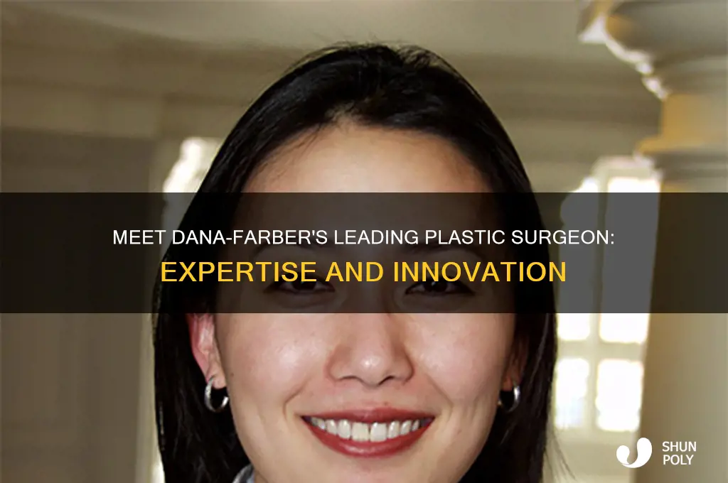 who is the head of plastic surgery at dana farber