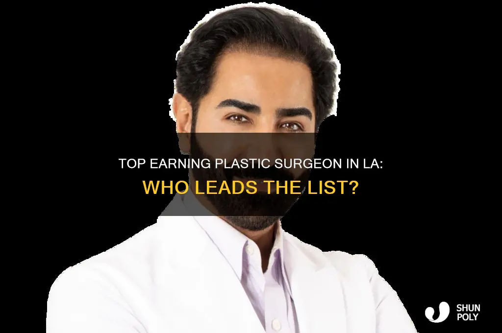 who is the highest paid plastic surgeon in los angeles