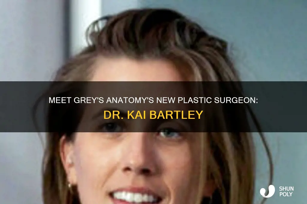 who is the new plastic surgeon in grey