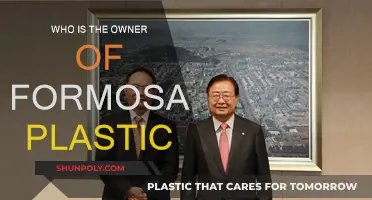 The Formosa Plastics Group: Who Owns It?