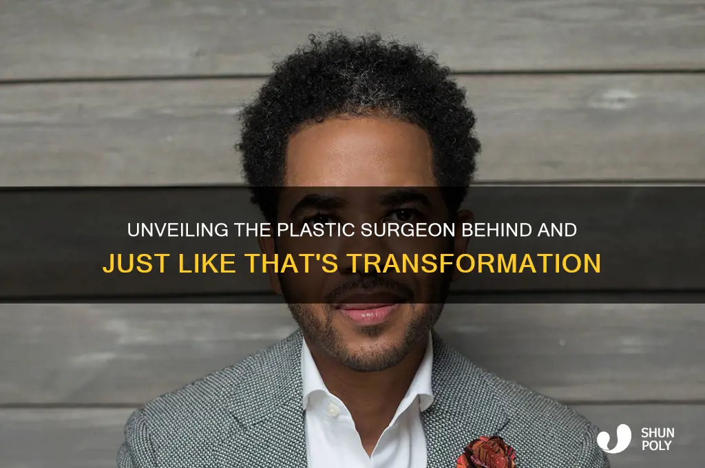 who is the plastic surgeon in and just like that