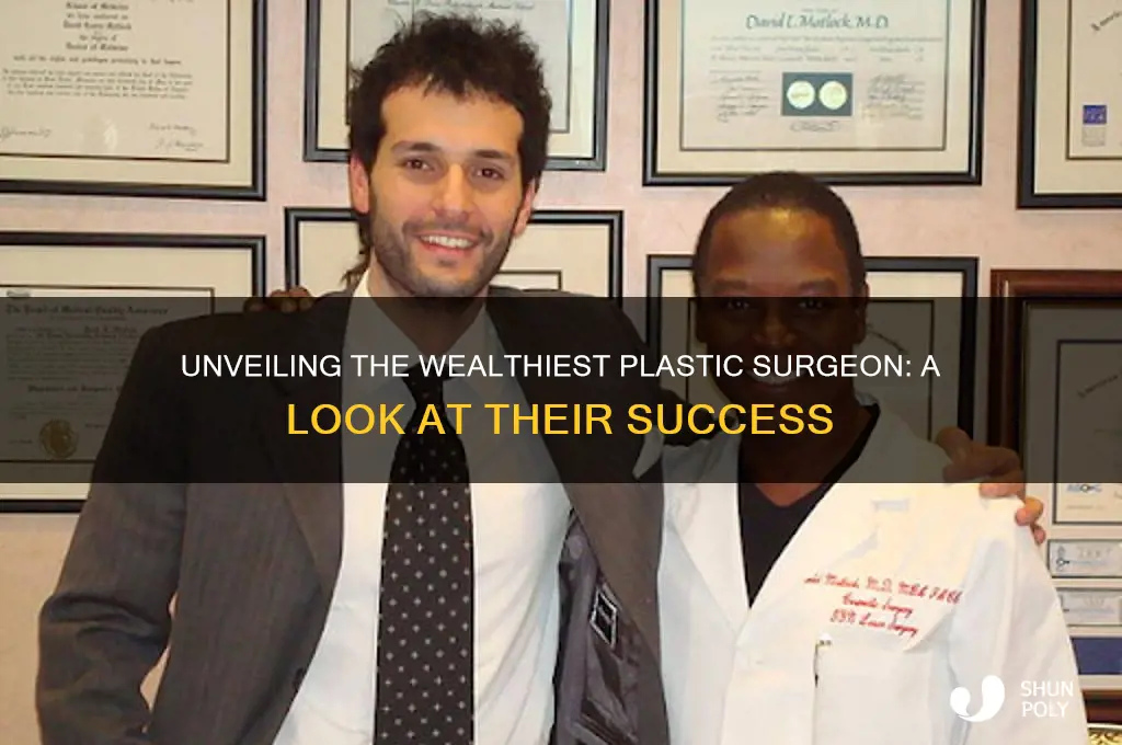 who is the richest plastic surgeon