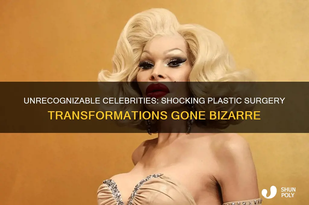who is the star with bizarre plastic surgery