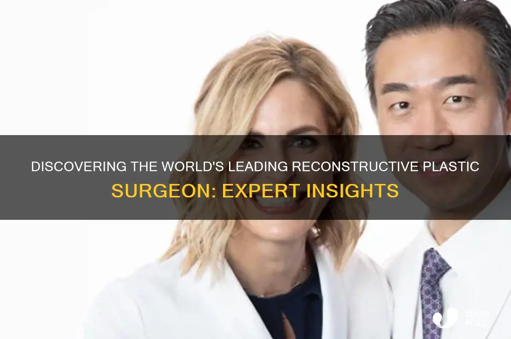 who is the top reconstructive plastic surgeon in the world