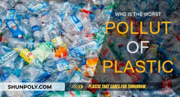 Plastic Pollution: Who is the Main Culprit?