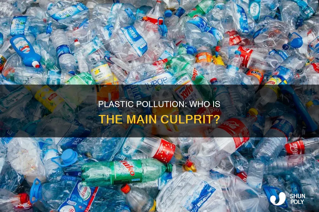 who is the worst pollutor of plastic