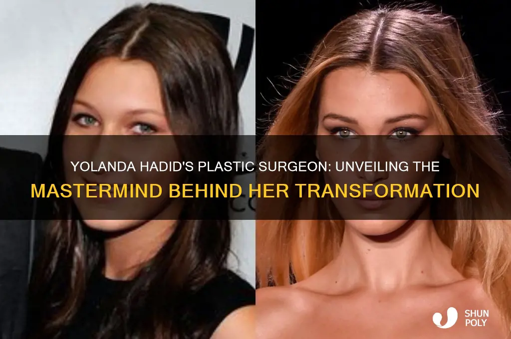 who is yolanda hadid
