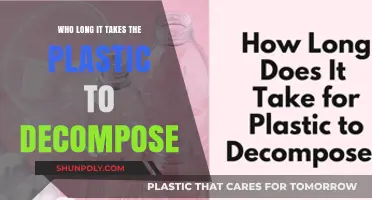 The Lengthy Journey of Plastic Decomposition: A Timeline