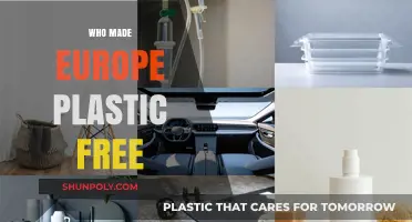 Pioneers and Policies: The Journey to a Plastic-Free Europe