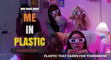 Who Created 'Wrap Me in Plastic'? Unveiling the Artist Behind the Hit
