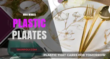 Who Manufactures Plastic Plates? Exploring Top Producers and Processes