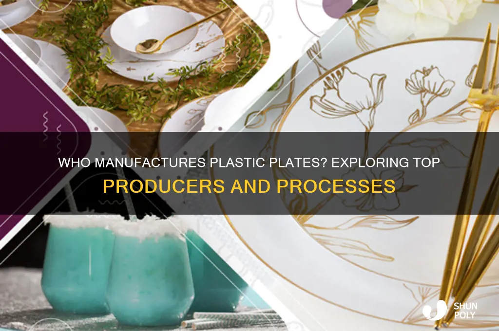 who makes plastic plaates