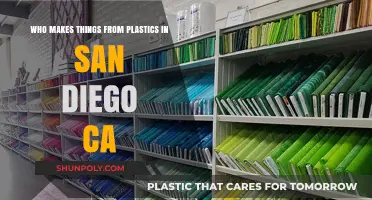 San Diego's Plastic Crafters: Who Creates with Plastics in CA?