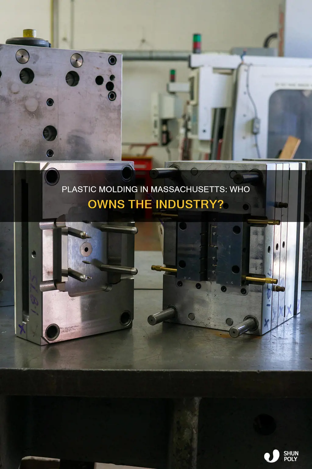 who owns plastic molding manufacturing massachusetts