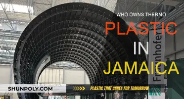 Thermo Plastic Jamaica: Ownership and Control