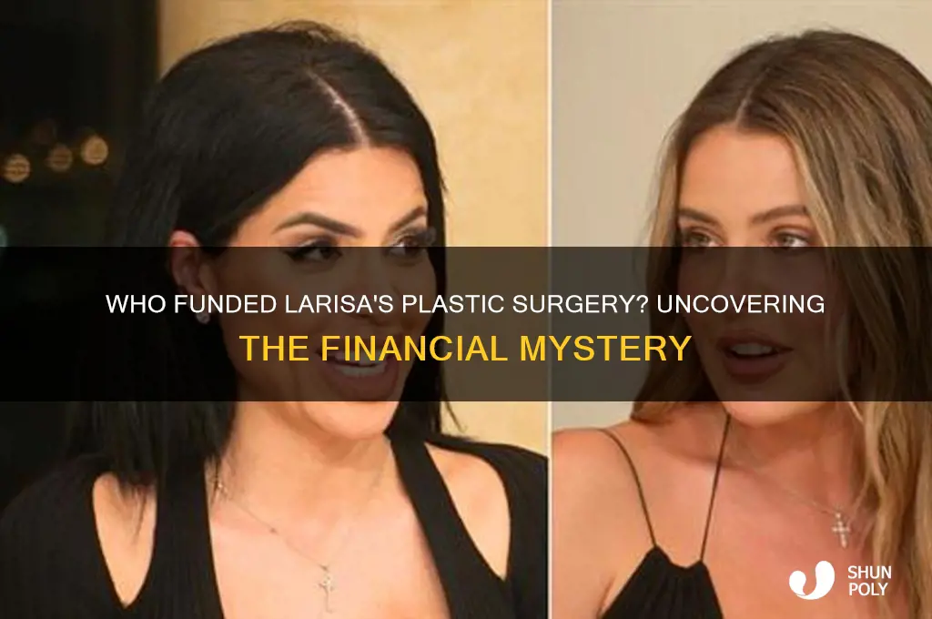 who paid for larisas plastic surgery