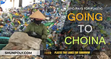 Plastic Pollution: Who Pays for China's Recycling?