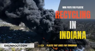 Indiana's Plastic Recycling: Who Pays the Price?