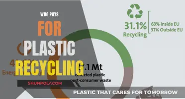 Plastic Recycling: Who Pays for Environmental Conservation?