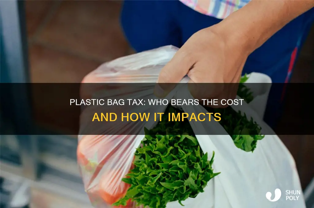 who pays for the tax on plastic bags affect