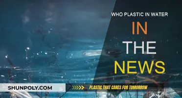 Plastic Pollution: A Growing Watery Grave