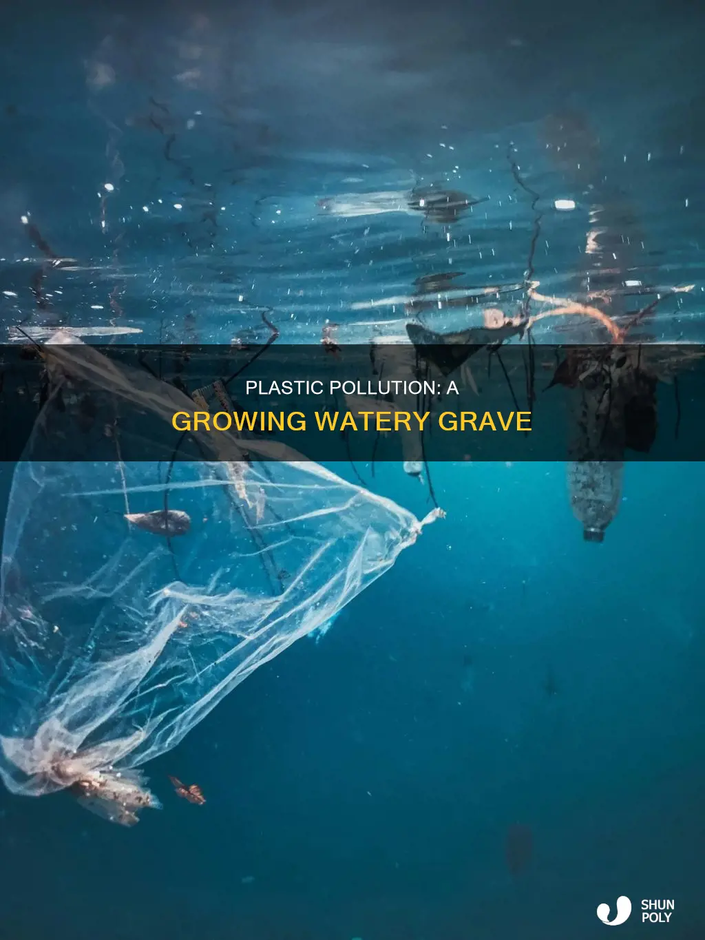 who plastic in water in the news
