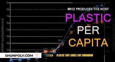 Plastic Producers: Who Leads the World in Per Capita Terms?