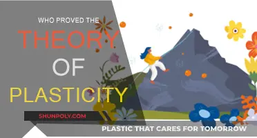 The Pioneers of Plasticity Theory: Unveiling the Key Contributors