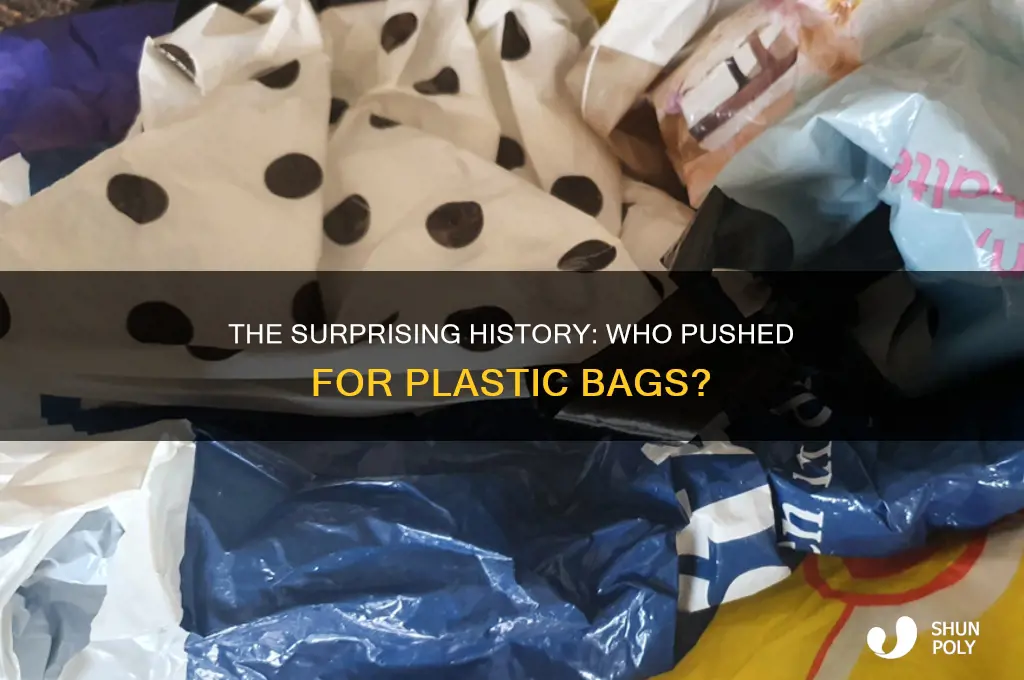who pushed for plastic bags
