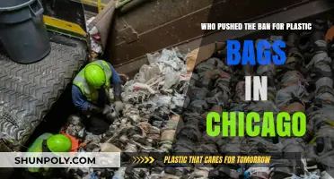Chicago's Plastic Bag Ban: Who Led the Environmental Push?