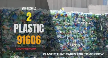 Recycling 2-Plastics: A Guide for the 91606 Area