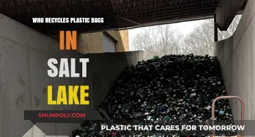Salt Lake's Plastic Bag Recycling: Who's Leading the Eco-Friendly Charge?